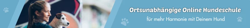 Ortsunabhängige Online Hundeschule