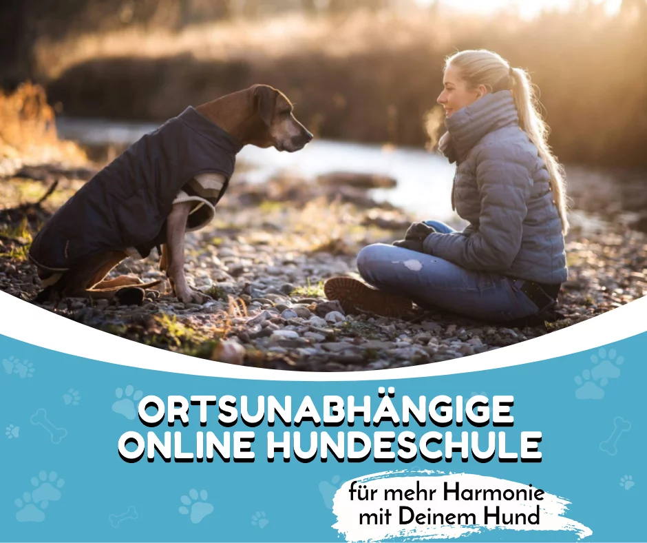 Online-Hundeschule Conny Sporrer
