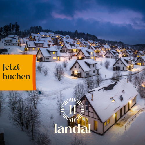 Silvester mit Hund im Hunde-Ferienhaus mit Zaun