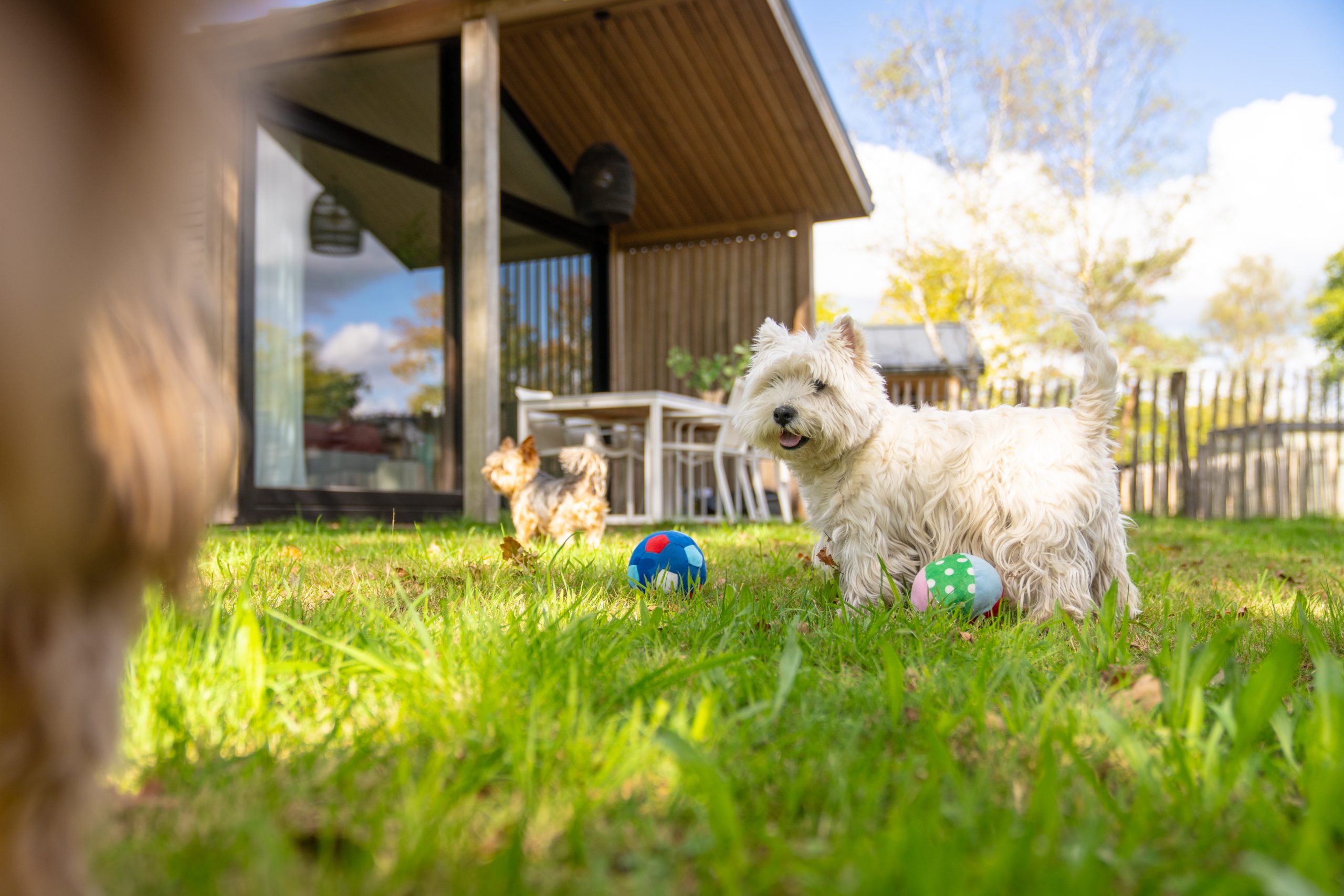 Urlaub mit Hund bei Landal