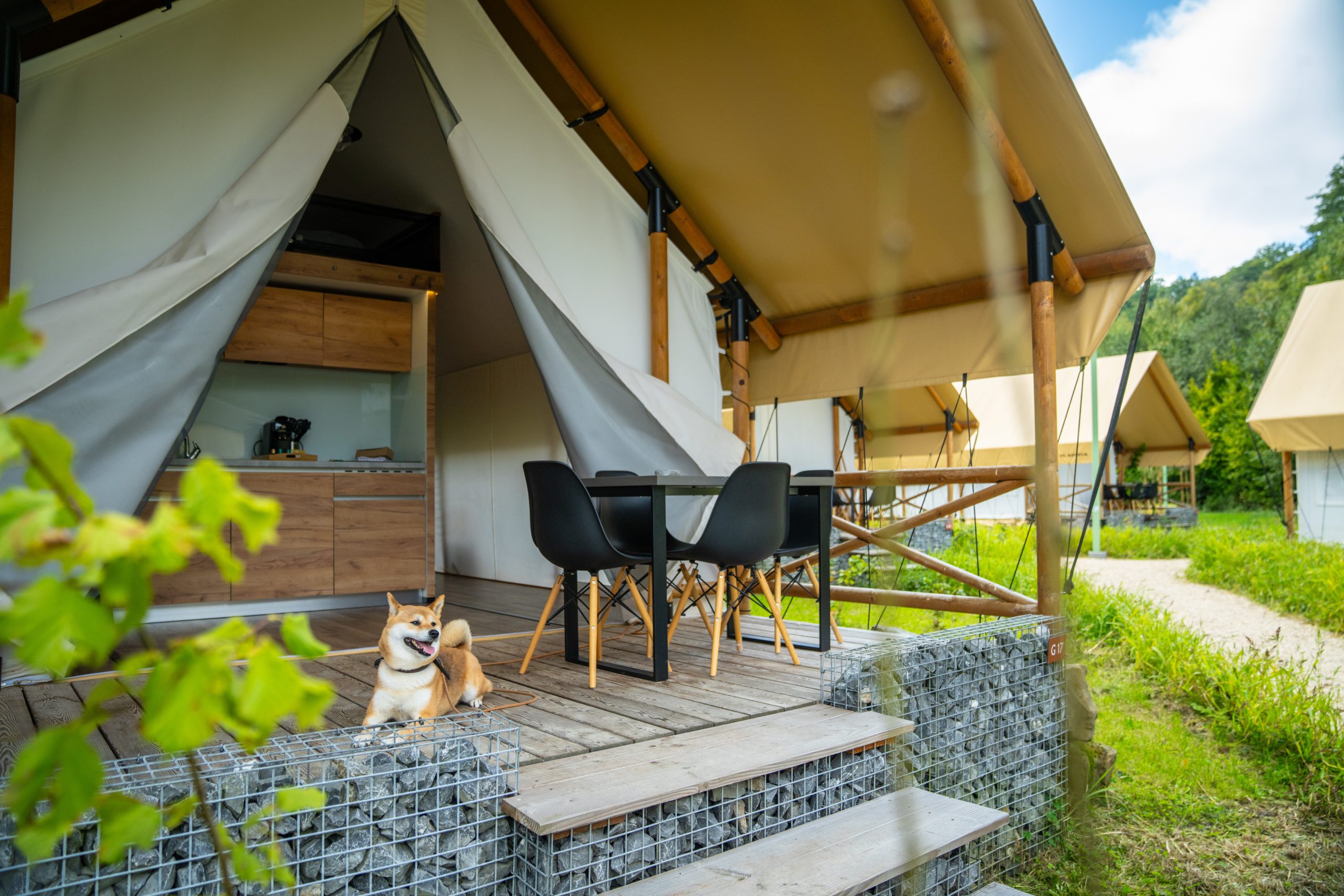 Urlaub mit Hund bei Landal