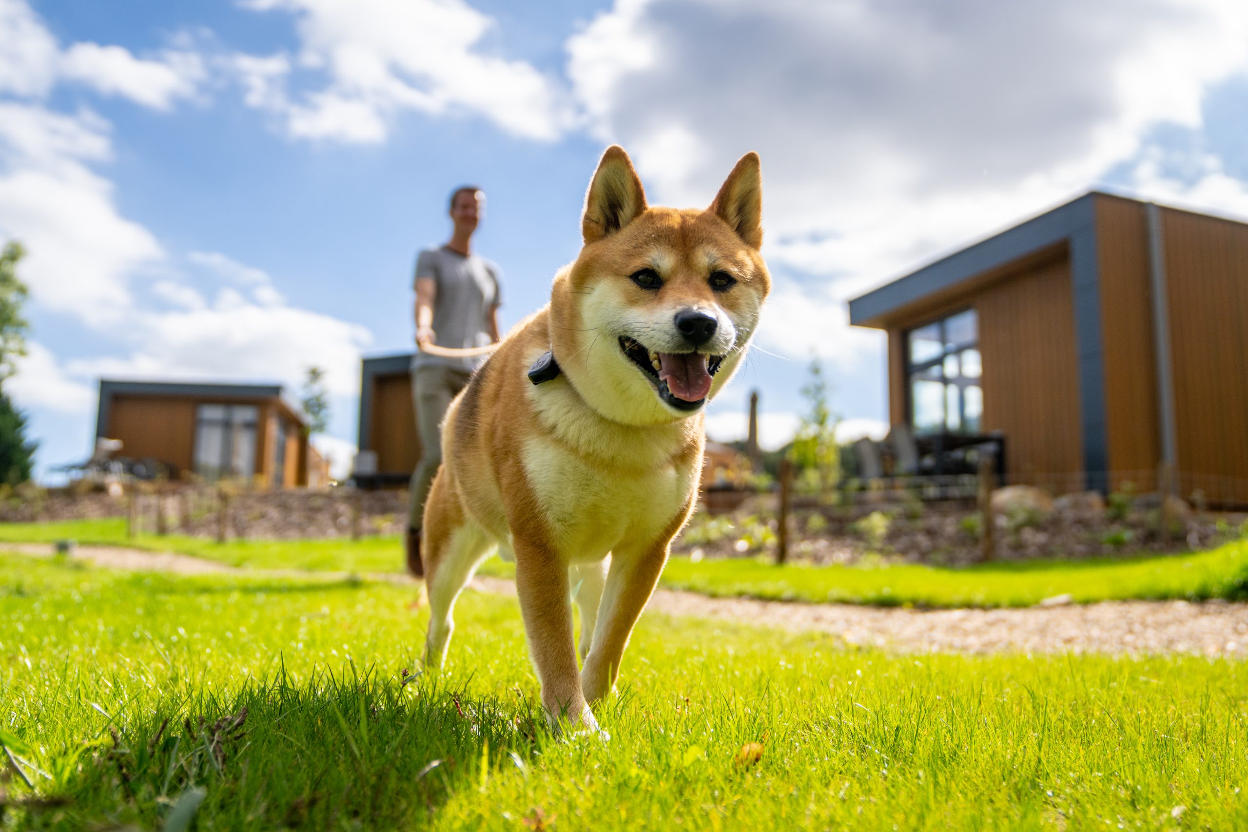 Urlaub mit Hund bei Landal
