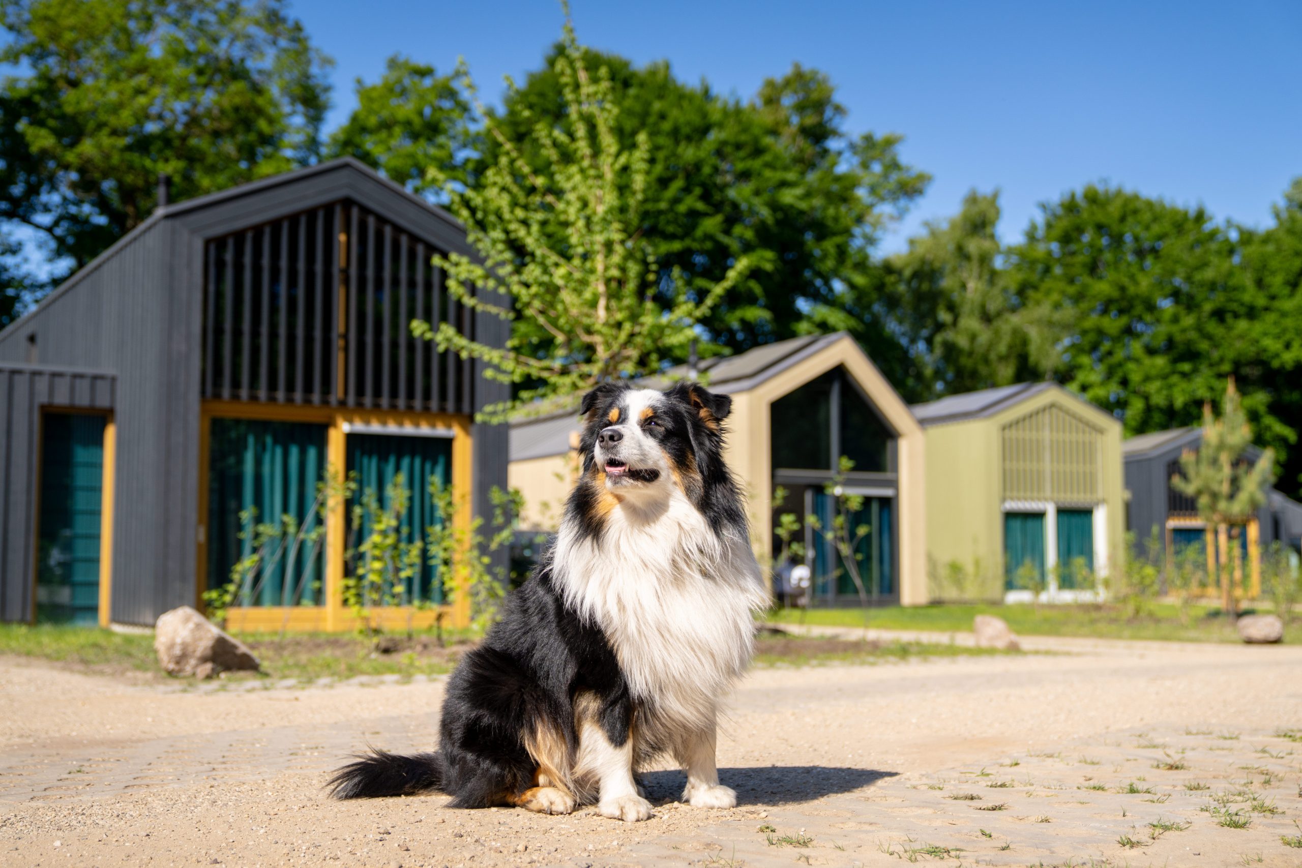 Urlaub mit Hund bei Landal