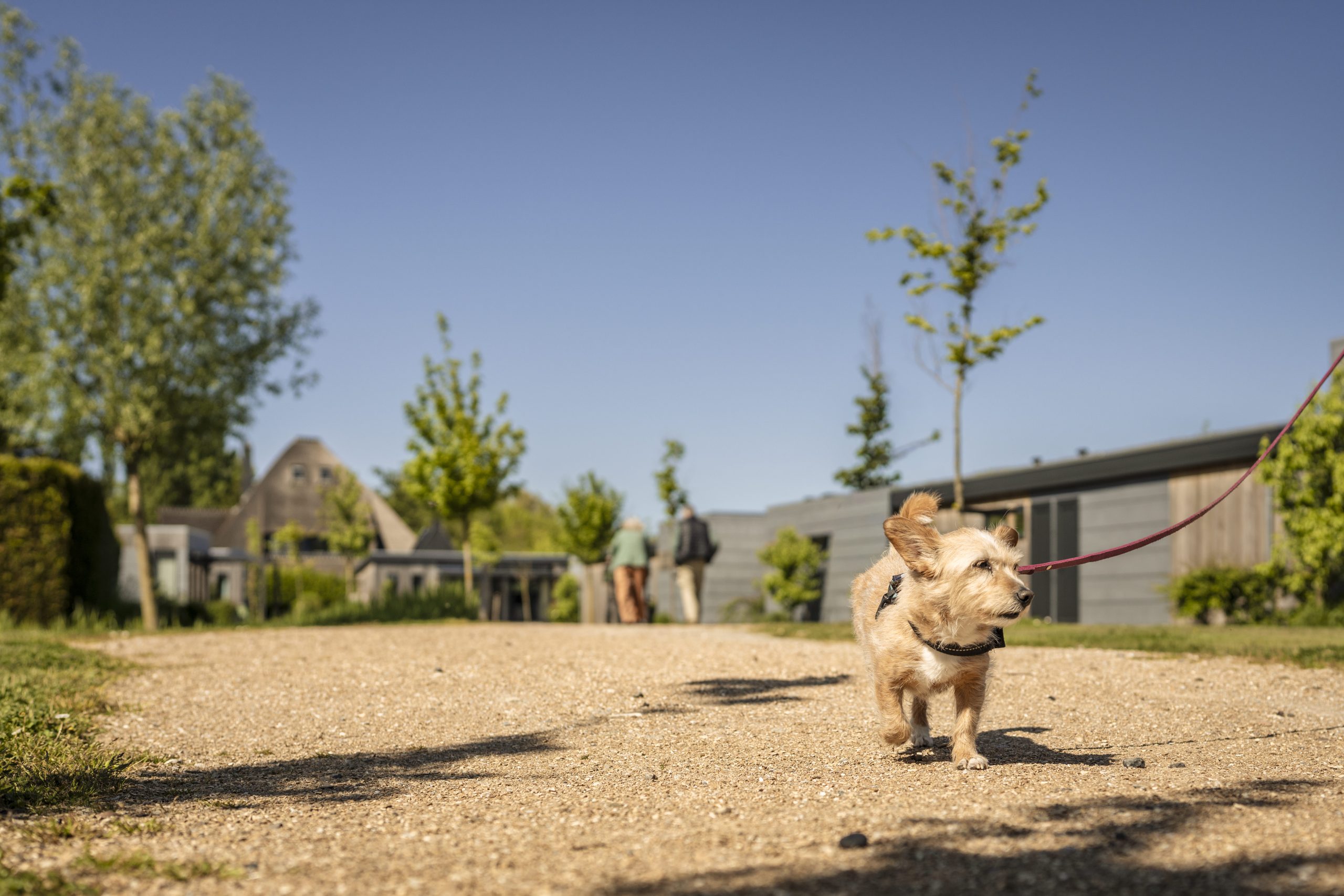 Urlaub mit Hund bei Landal