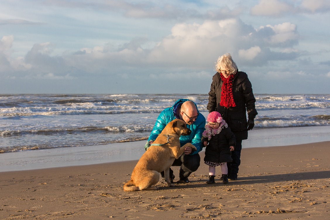 Urlaub mit Hund bei Landal