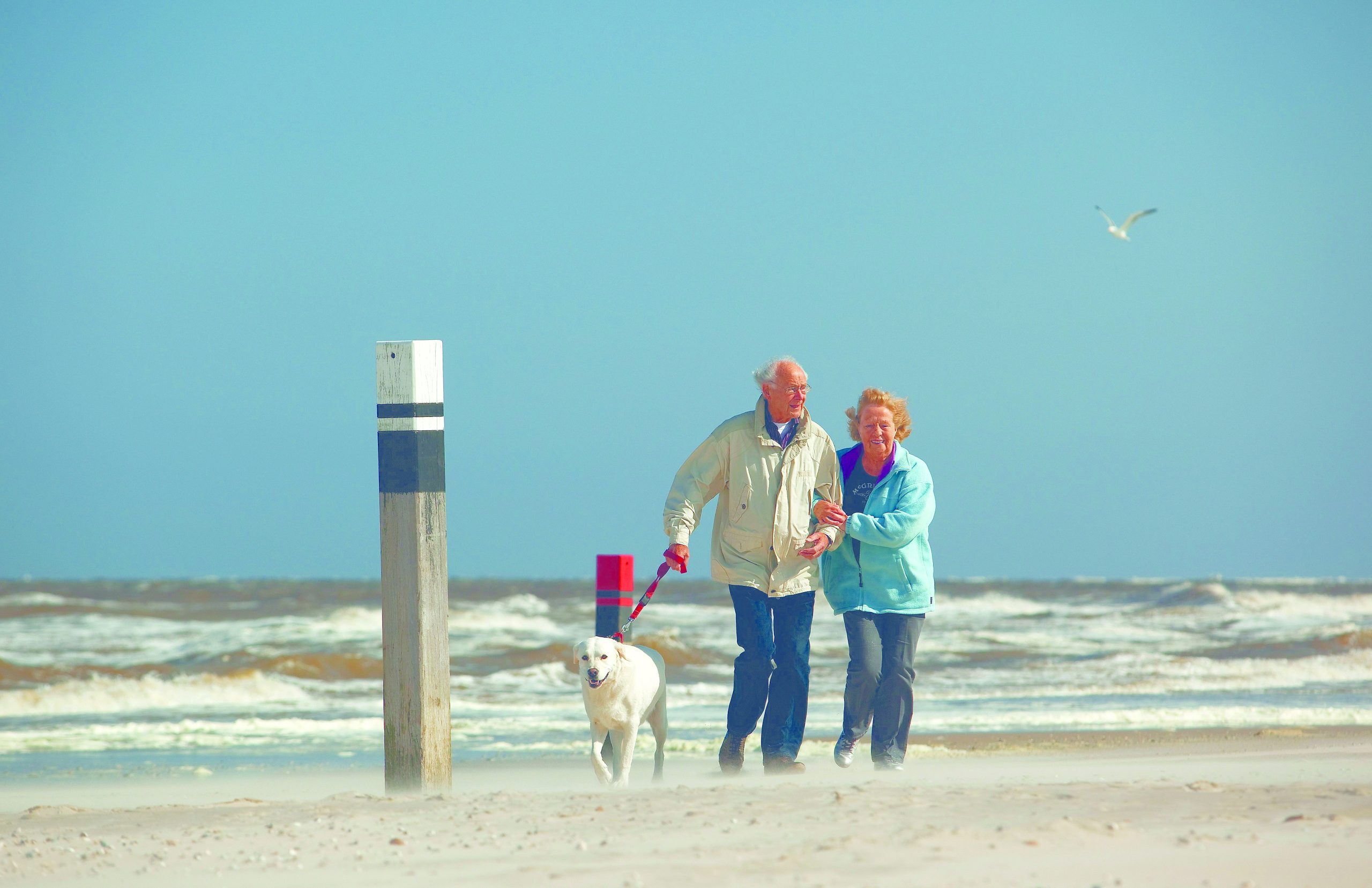Urlaub mit Hund bei Landal