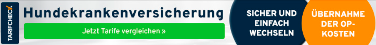 Hundekrankenversicherung Tarife vergleichen