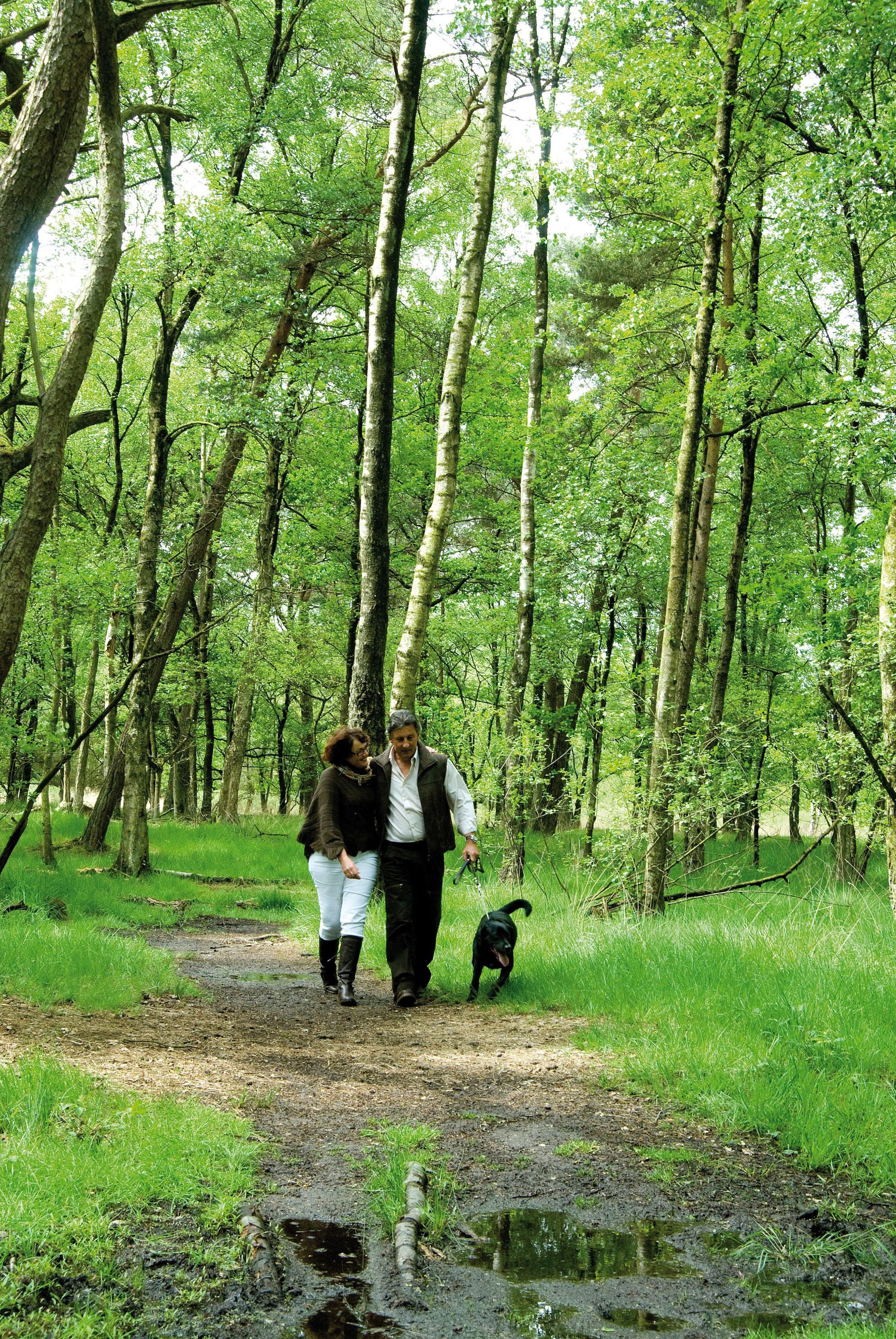 Urlaub mit Hund bei Landal