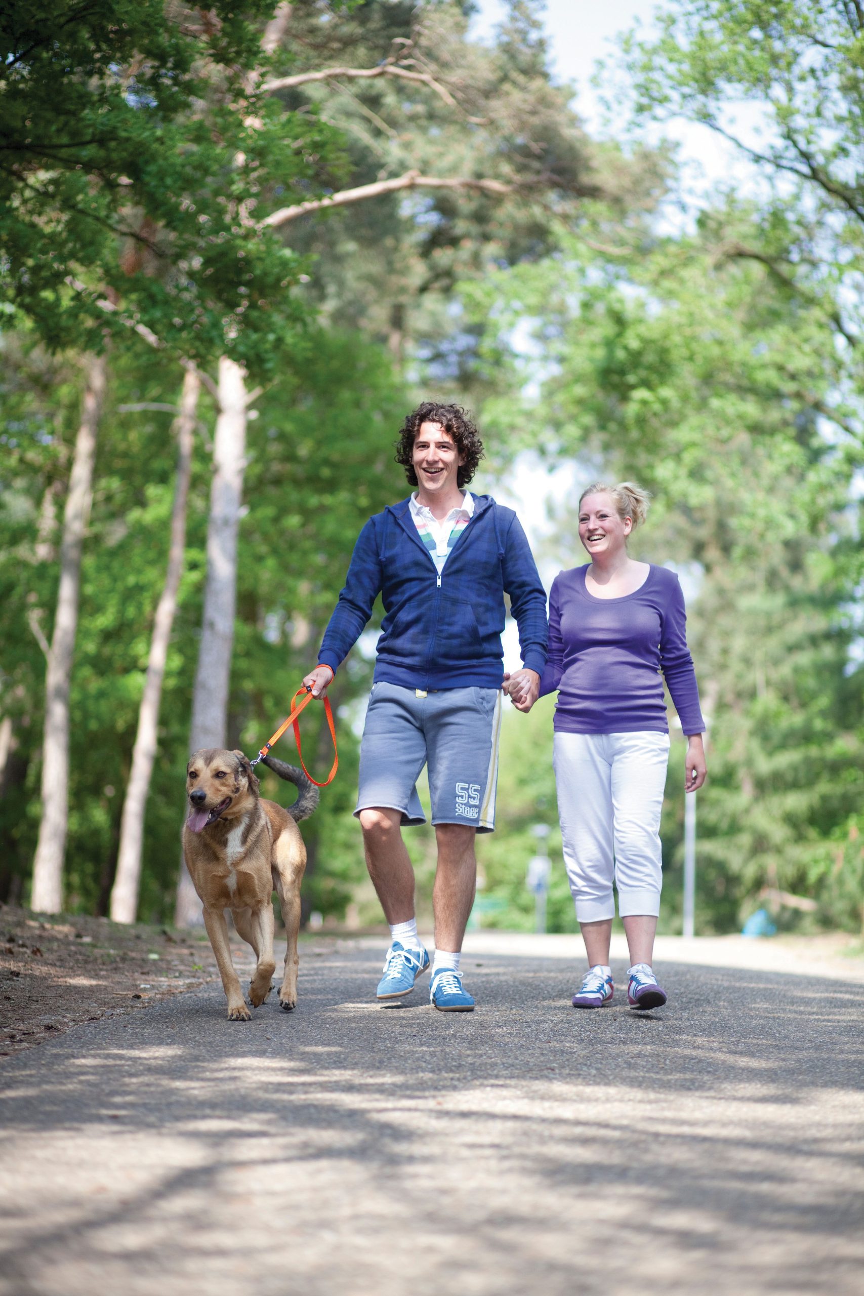 Urlaub mit Hund bei Landal