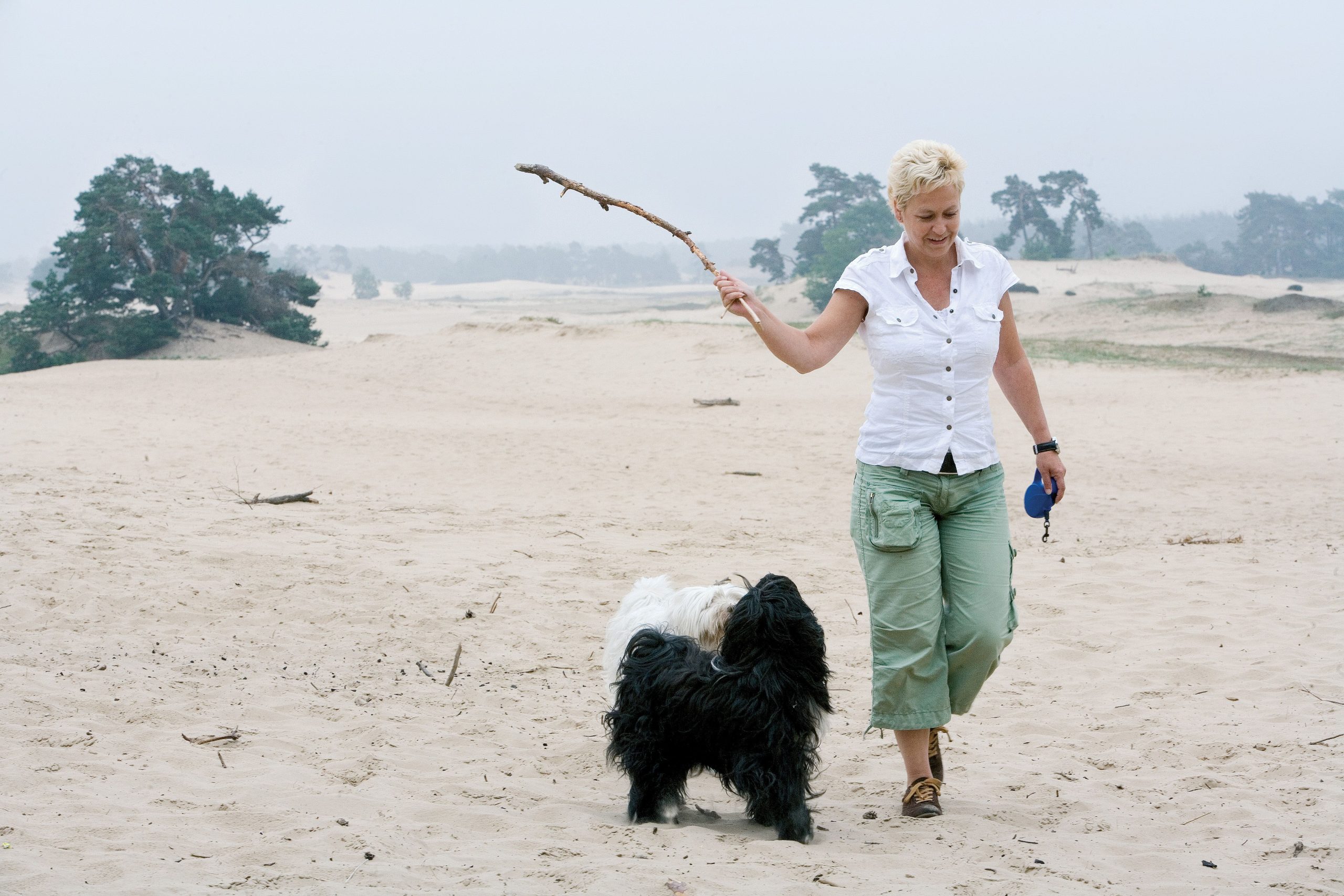 Urlaub mit Hund bei Landal