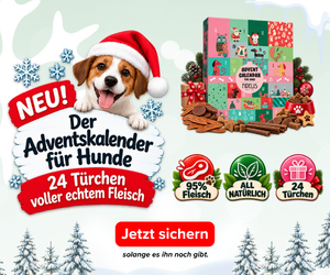 Fidelis Hunde Adventskalender