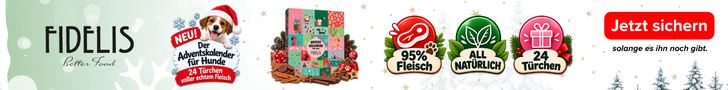 Hunde Adventskalender Angebote