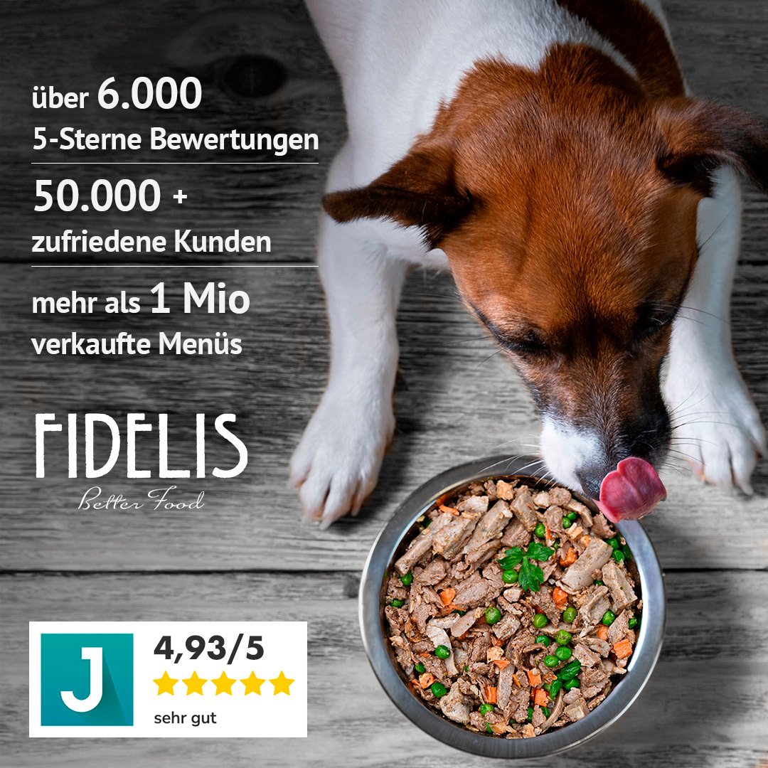 Fidelis Better Food Hundefutter im Urlaub